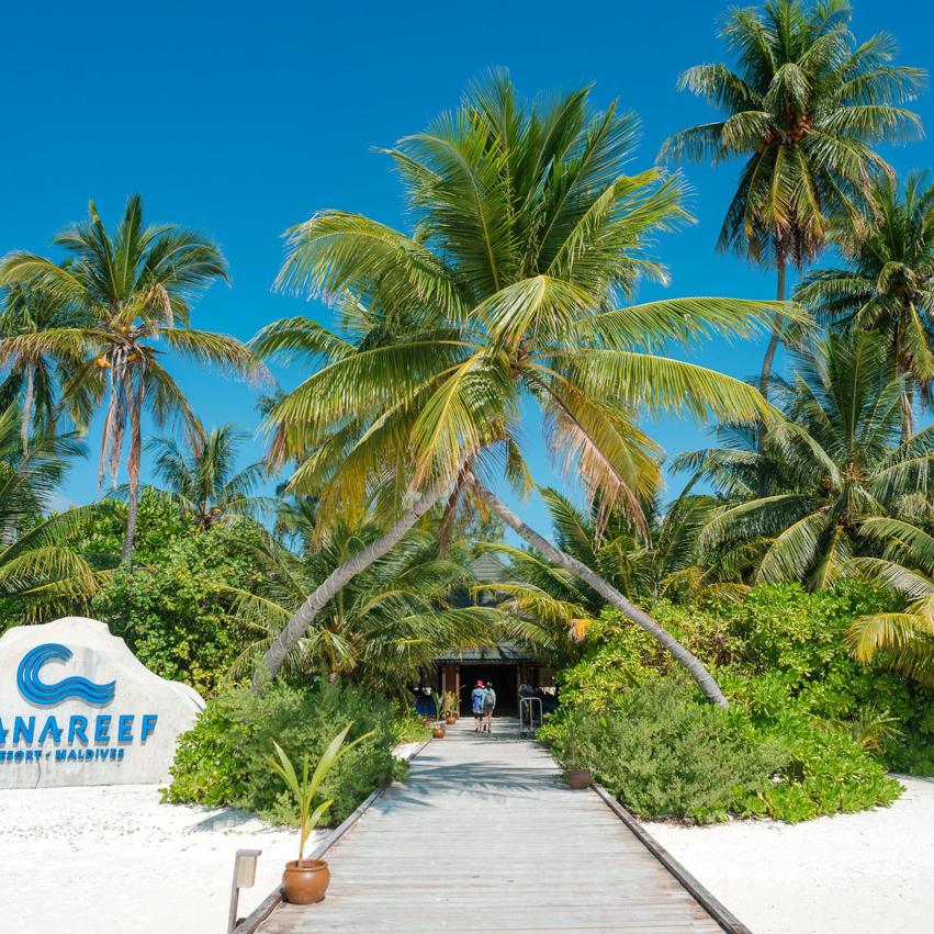 Canareef Resort Maldives constance halaveli resort maldives