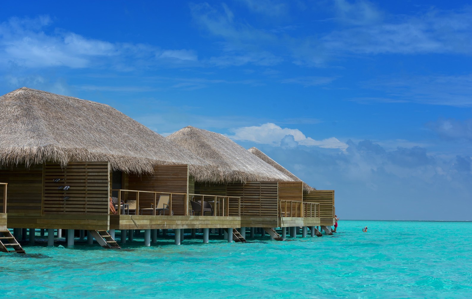 Отель Cocoon Maldives, Лавиани Атолл: забронировать тур в отель, фото,  описание, рейтинг