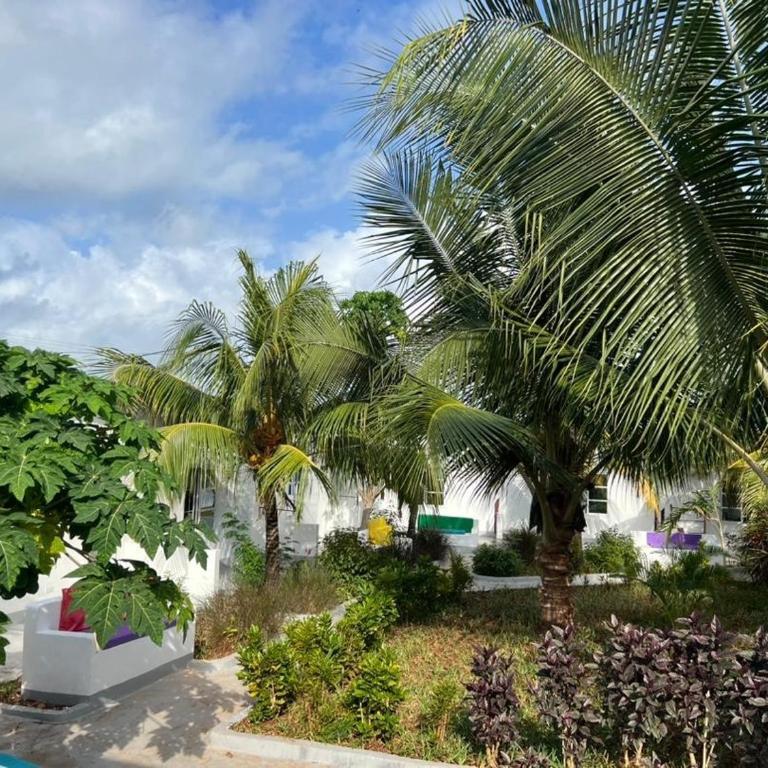 paradisus varadero Varadero Zanzibar Hotel & Restaurant