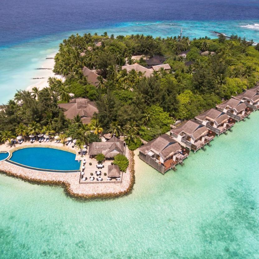 Coral spa. Taj Coral Reef. Taj Coral Reef Resort & Spa. Рееф еджи Мальдивы. Мальдивы отели с рифом.