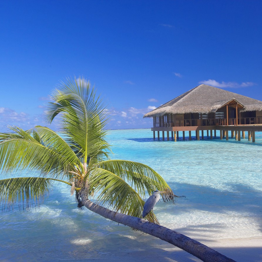 kuramathi island resort Medhufushi Island Resort